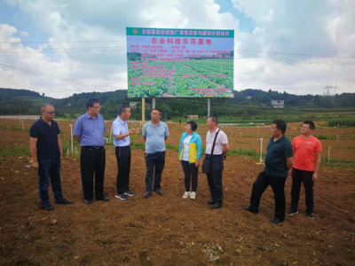 省農(nóng)業(yè)科技發(fā)展中心主任潘爾珣深入畢節(jié)調(diào)研，指導(dǎo)基層農(nóng)技推廣補(bǔ)助項(xiàng)目建設(shè)工作